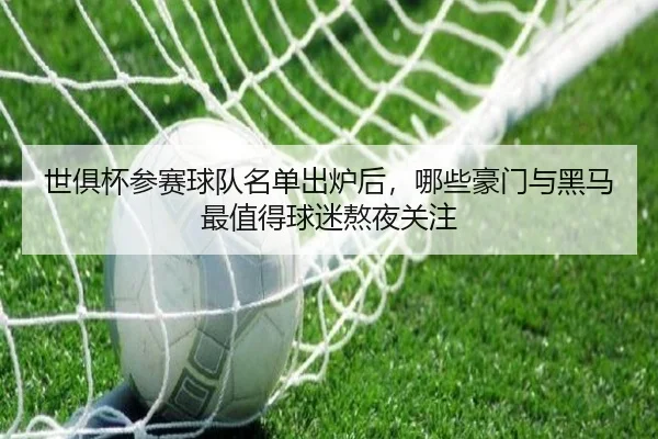 世俱杯参赛球队名单出炉后，哪些豪门与黑马最值得球迷熬夜关注（kaiyun）